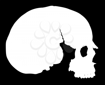 simple human skull without mandible in profile white on black background
