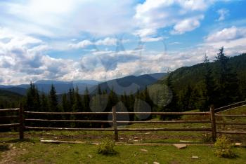 The summer scenery of the Carpathian Mountains overgrown with dense forest