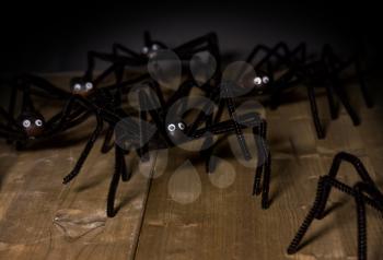 Funny toy spiders made of chestnuts and furry wire attack on Halloween