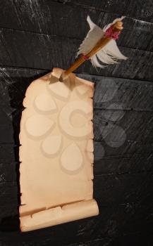 an empty sheet of old manuscript with space for text pinned to a dark wooden wall with an arrow from a bow with natural plumage