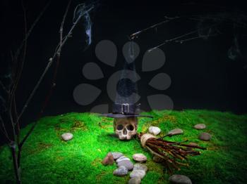 Halloween witch skull in a classic pointed hat with a broom for flying against the background of an abandoned garden. Toy model
