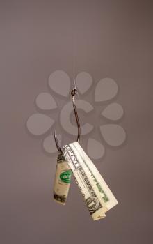 Conceptual image of a fish hook with a dollar banknote suspended from it for bait.