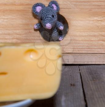 small toy mouse 2020 symbol peeks out of a round mink onto a large piece of cheese