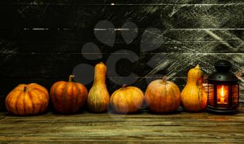Several assorted small pumpkins stand in a row against a dark background next to a lighted lantern