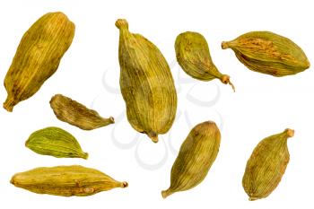 several grains of oriental spice cardamom close up isolated on white background