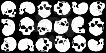 black background of white skulls in several different positions