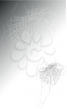 outline big spider web on dark and light background
