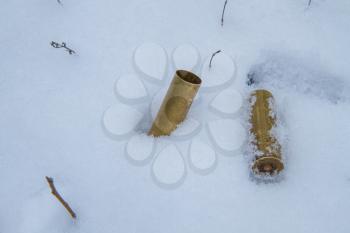 Two old twelve-gauge brass hunting rifle casings thrown into the snow after reloading 
