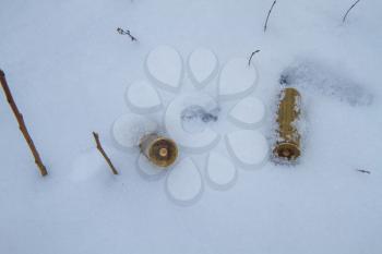 Two old twelve-gauge brass hunting rifle casings thrown into the snow after reloading 