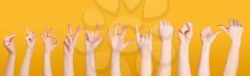 Several different gestures of female hands in various poses close-up on a yellow background 