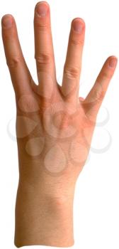 Royalty Free Photo of a Hand Holding Four Fingers Up