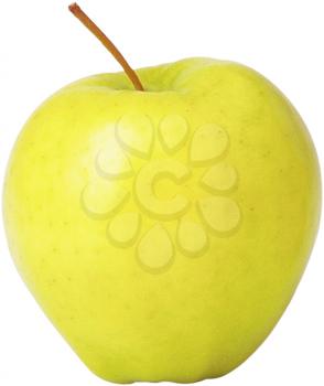 Royalty Free Photo of an Apple 