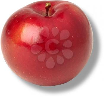 Royalty Free Photo of an Apple 