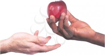 Royalty Free Photo of an Apple Bineg Passed From One Hand to Another 