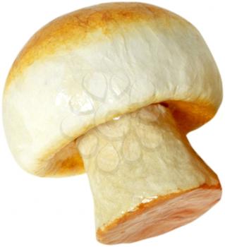 Royalty Free Photo of Mushroom Art