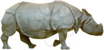 Royalty Free Photo of an Indian Rhinoceros Assam