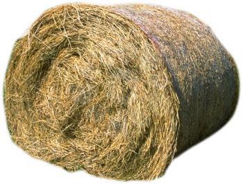 Royalty Free Photo of a Round Bail of Hay