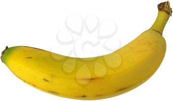Royalty Free Photo of a Banana