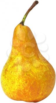 Royalty Free Photo of a Bartlett Pear