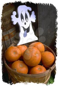 Royalty Free Photo of a Basket of Pumpkins with a Halloween Ghost Decoration 