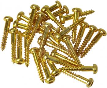 Royalty Free Photo of a Screws