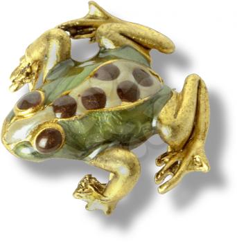 Royalty Free Photo of a Frog Brooch
