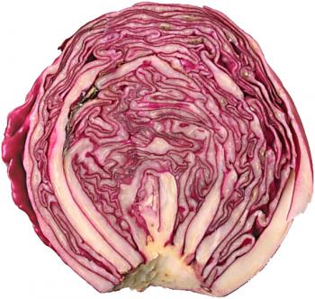 Royalty Free Photo of a Red Cabbage Cut in Half