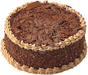 Royalty Free Photo of a Fancy Chocolate Cake with Shredded Chocolate on Top
