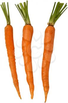 Royalty Free Photo of Three Raw Carrots