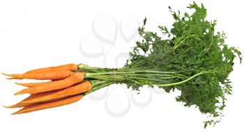 Royalty Free Photo of a Bunch of Raw Carrots