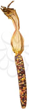 Royalty Free Photo of a Decorative Cob of Corn