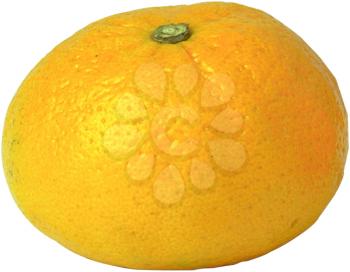 Orange Photo Object