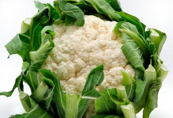 Whole cauliflower placed on the white background.