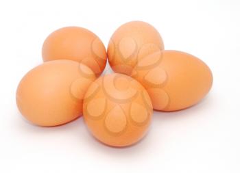 Five eggs isolated on the white background.