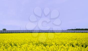 Yellow rape field with solar power station.