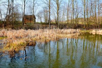 HDR shot of the natural wetland in pond.