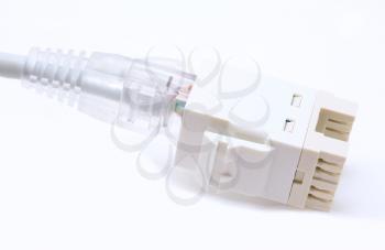 Gray ethernet Cat5e cable plugs to the RJ45 keystone on a white background.