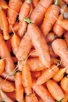 Background from heap of the ripe fresh carrots.