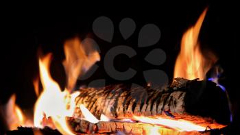 Burning log in fireplace on dark black background closeup.