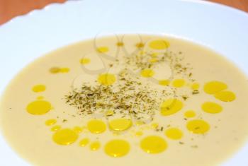 Vichyssoise soup with olive oil spills and parsley in white plate.