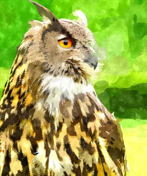Watercolor digitally generated painting of the Eagle Owl (Bubo Bubo).