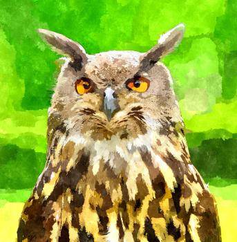 Abstract watercolor digital generated painting of the Eagle Owl (Bubo Bubo) head portrait on green background.