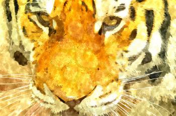 Abstract watercolor digital generated painting of the Siberian Tiger head portrait.