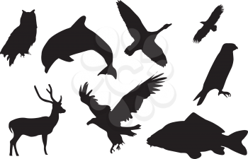 Eight black silhouettes of animals.