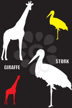 Silhouettes of red giraffe and grey stork on the black background.