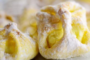 Macro shot of the traditional Czech cakes stuffed with curd and sprinkled with sugar.