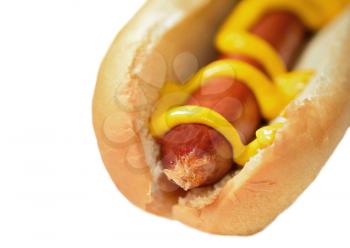 Hot dog with mustard in a plain soft bun isolated over  white background.
