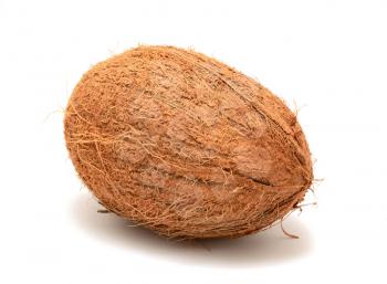 One whole coconut on white background.