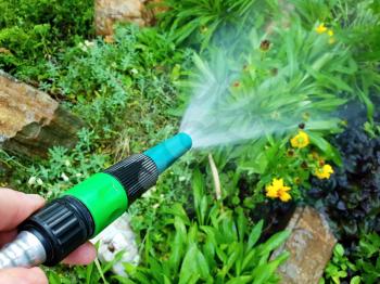 Closeup of plastic garden hose spraying water on flower bed, watering the garden.
