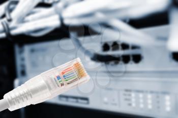 Conceptual shot of data connection with rj45 patch cable in foreground and data switch with connected patch cords in background.